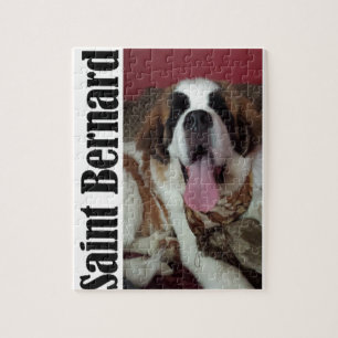 Sint-Bernard Legpuzzel