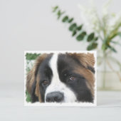 Sint Bernard Puppies Briefkaart (Staand voorkant)