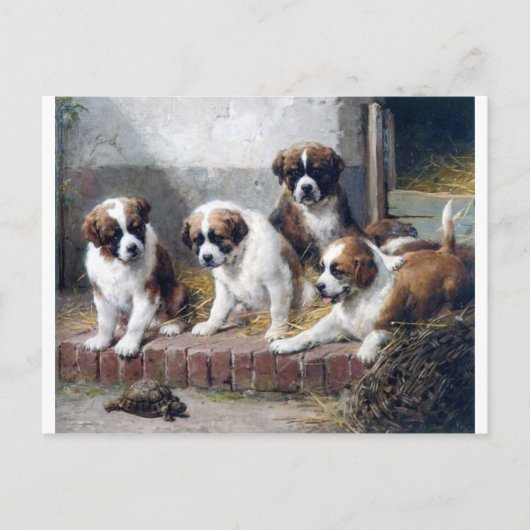 Sint-Bernard-puppies schildpadden Briefkaart (Voorkant)