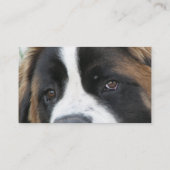 Sint Bernard Puppies Visitekaartje (Achterkant)