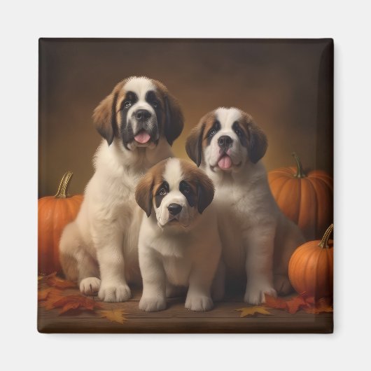 Sint Bernard Puppy Herfst Verrukking Pompoen Magneet (Voorkant)