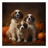 Sint Bernard Puppy Herfst Verrukking Pompoen Perfect Poster (Voorkant)