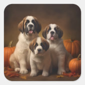 Sint Bernard Puppy Herfst Verrukking Pompoen Vierkante Sticker (Voorkant)