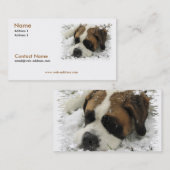 Sint Bernard Visitekaartje (Voorkant / Achterkant)