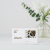 Sint Bernard Visitekaartje (Staand voorkant)