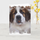 Sint Bernard Wenskaart Kaart (Gele Bloem)