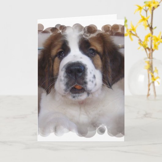 Sint Bernard Wenskaart Kaart (Gele Bloem)