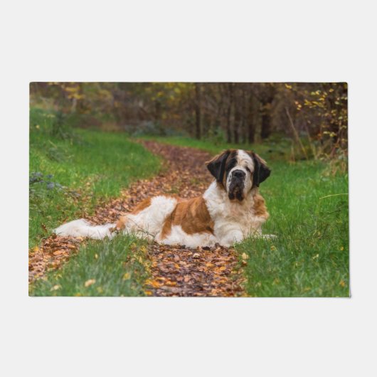 Sint-Bernardhond in het najaar Deurmat (Voorkant)