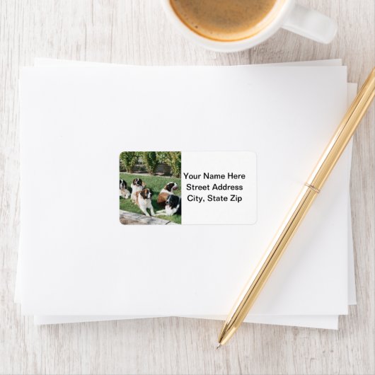 Sint-Bernards in de tuin Etiket (Insitu)