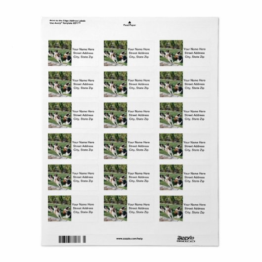 Sint-Bernards in de tuin Etiket (Full Sheet)