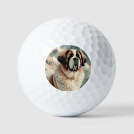 Sint-Bernardshond Golfballen