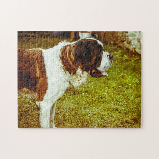 Sint-Bernardshond Legpuzzels. Legpuzzel (Horizontaal)