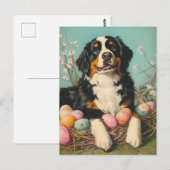 Sint-Bernardus  Pasen Briefkaart (Voorkant / Achterkant)