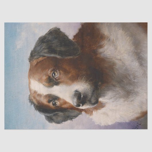  Sint Bernhard Dog Portrait Tissuepapier (Voorkant)