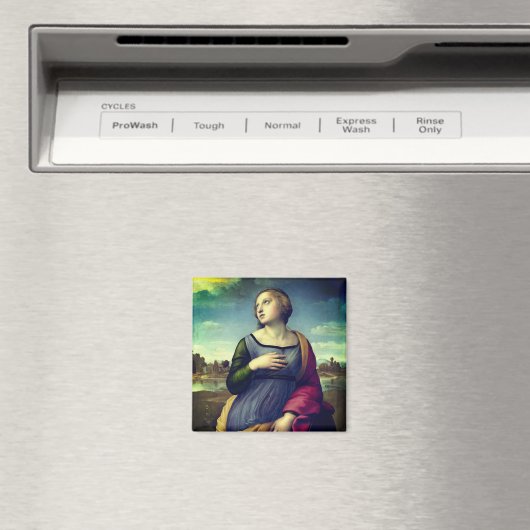 Sint Catharina van Alexandrië door Rafaël Magneet (Insitu (Vaatwasser))