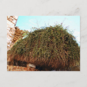 Sint-Catherine's klooster, Zuid-Sinaï, Egypte Briefkaart