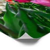 Sint-Charles-kerk in het voorjaar in Wenen, Oosten Poster (Hoek)