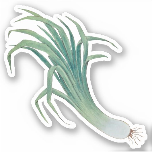 Sint David's Day Leek Contour Sticker (fR) (Voorkant)