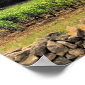 Sint-Emiljoen wijngaarden Poster (Hoek)