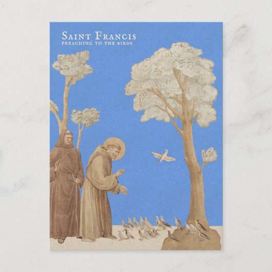 Sint Francis predikt de vogels CC1164 Briefkaart (Voorkant)