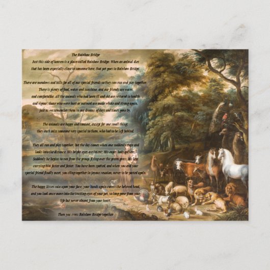 Sint-Francis van Assisi en de regenboogbrug Briefkaart (Voorkant)