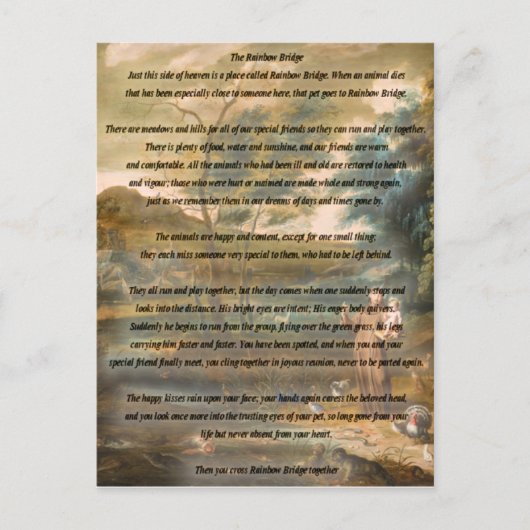 Sint-Francis van Assisi en de regenboogbrug Briefkaart (Voorkant)