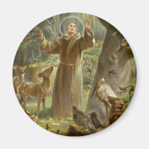 Sint-Francis van Assisi Preaching voor de Dieren Magneet
