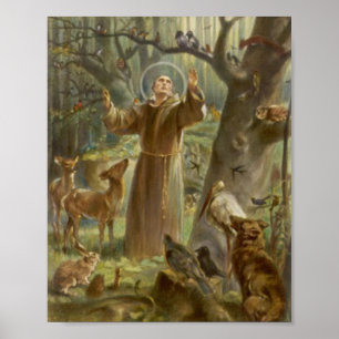 Sint-Francis van Assisi Preaching voor de Dieren Poster