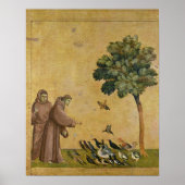 Sint-Francis van Assisi predikt de vogels Poster (Voorkant)