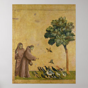 Sint-Francis van Assisi predikt de vogels Poster