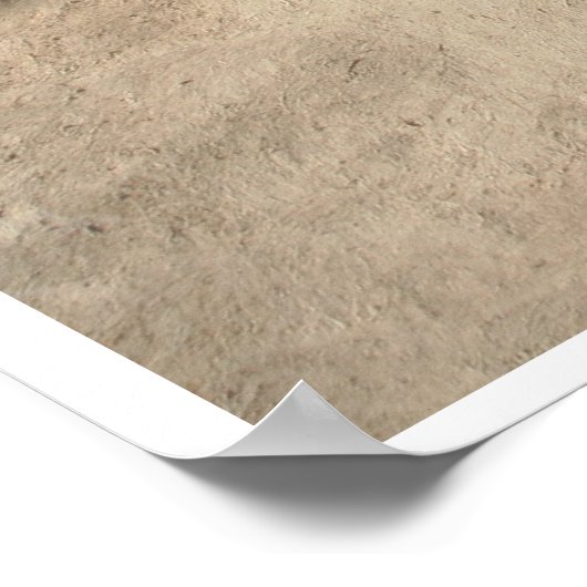 Sint-Francis van de Assisi-kerk III Poster (Hoek)