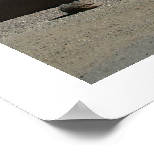 Sint-Francis van de kerk van Assisi Poster (Hoek)