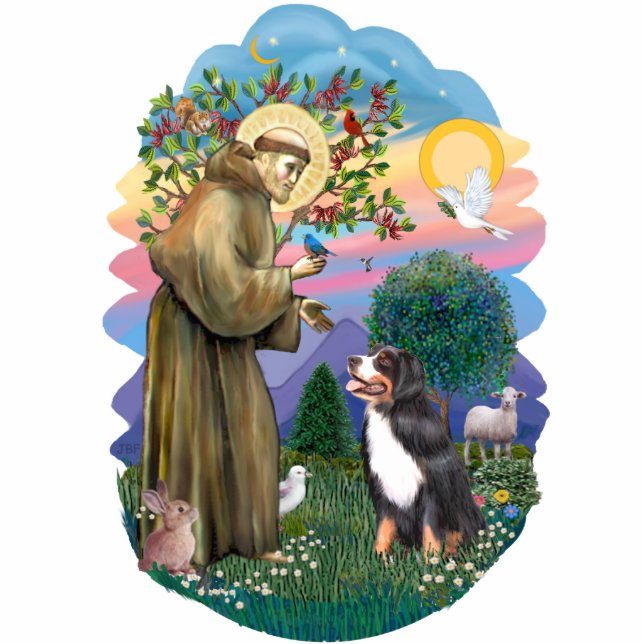 Sint Franciscus - Berner Sennenhond Staand Fotobeeldje (Voorkant)