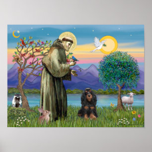 Sint Franciscus & Black-Tan Cocker Spaniel Poster