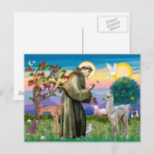 Sint Franciscus en Lama Baby Briefkaart (Voorkant / Achterkant)