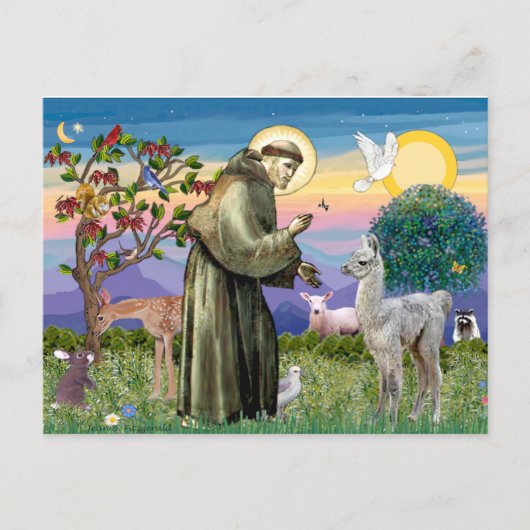 Sint Franciscus en Lama Baby Briefkaart (Voorkant)