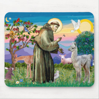 Sint Franciscus en Lama Baby Muismat