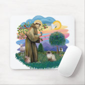 Sint Franciscus (ff) - Seal Point Himalaya kat Muismat (Met muis)