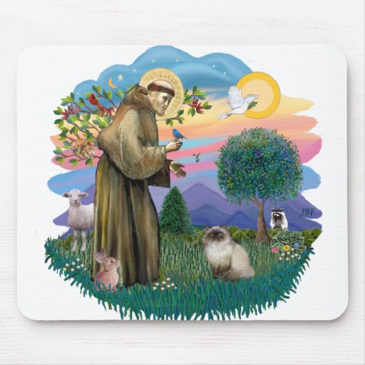 Sint Franciscus (ff) - Seal Point Himalaya kat Muismat (Voorkant)