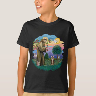 Sint Franciscus (ff) - Tabby tijgerkat T-shirt