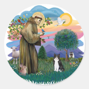 Sint Franciscus (ff) - Zwart-witte kat Ronde Sticker