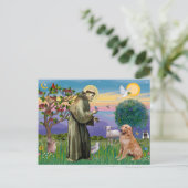 Sint Franciscus - Golden Retriever (#1) Briefkaart (Staand voorkant)