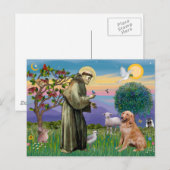 Sint Franciscus - Golden Retriever (#1) Briefkaart (Voorkant / Achterkant)