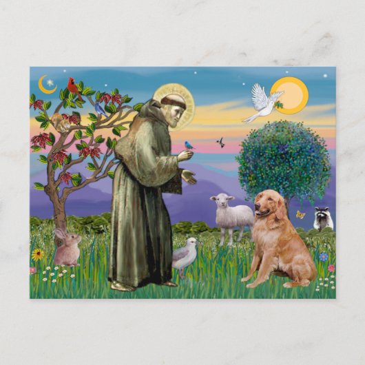 Sint Franciscus - Golden Retriever (#1) Briefkaart (Voorkant)