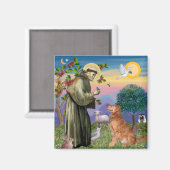 Sint Franciscus - Golden Retriever (#1) Magneet (Voorkant / Achterkant)