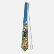 Sint Franciscus - Golden Retriever