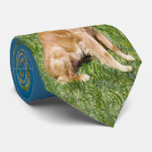 Sint Franciscus - Golden Retriever Stropdas (Opgerold)