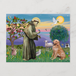 Sint Franciscus - Gouden Retriever (#1) Briefkaart