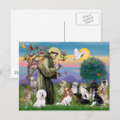 Sint Franciscus met 10 honden Briefkaart (Voorkant / Achterkant)