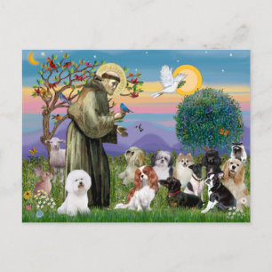 Sint Franciscus met 10 honden Briefkaart
